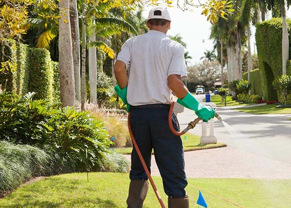 About Smithville IN Pest Control